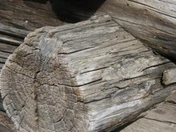Log Buildings