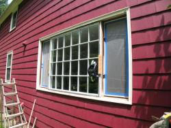 Casements and Fixed Window c1952