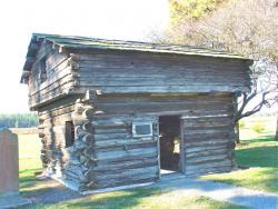 Log Buildings and Vigas