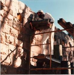 Log Buildings and Vigas