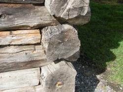 Log Buildings