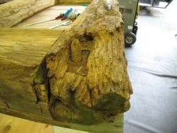 Privy (Outhouse) c1870